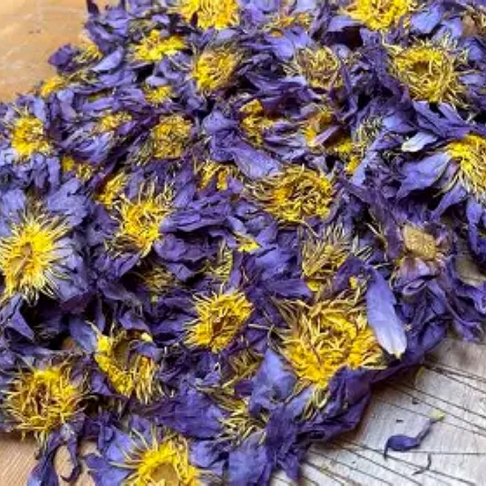 Dried flowers sold as Blue Lotus — broad petals, saturated violet, dense yellow centres